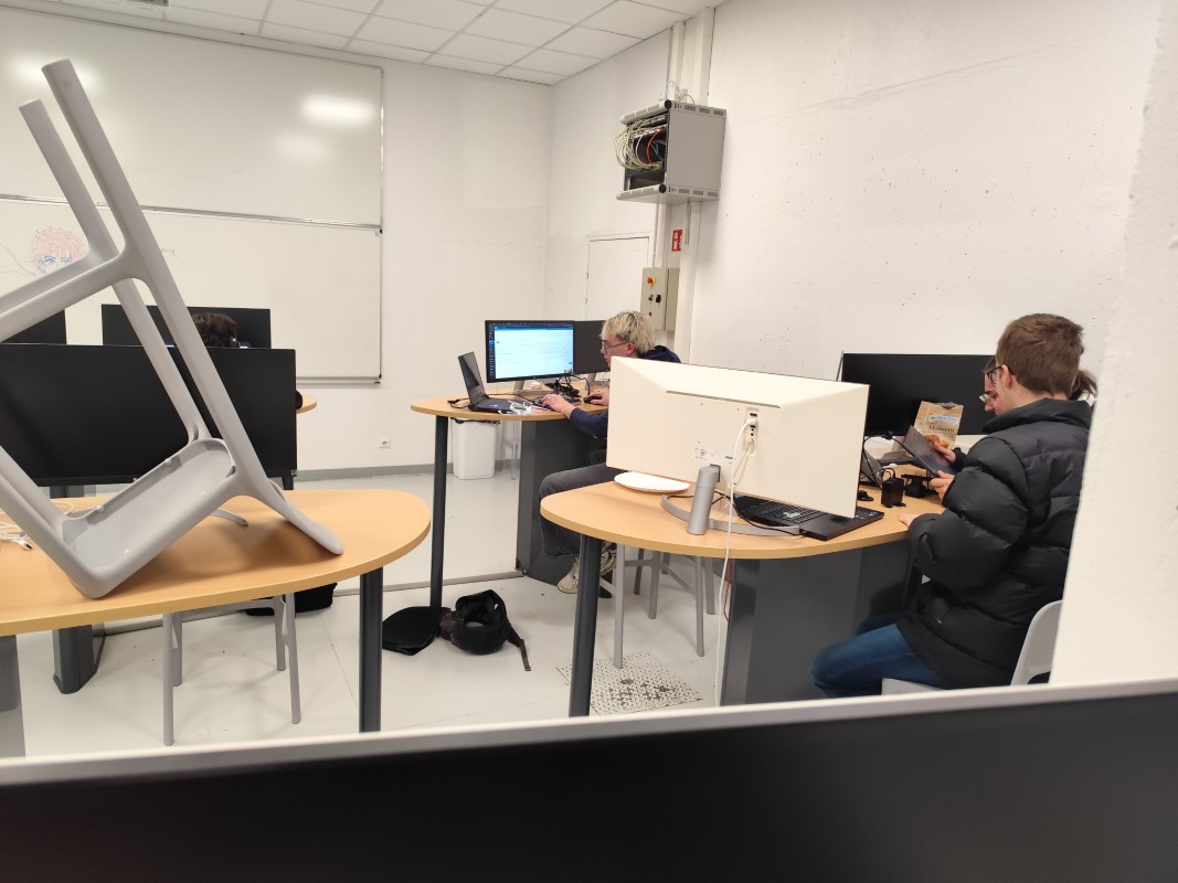 web jungle days 2026